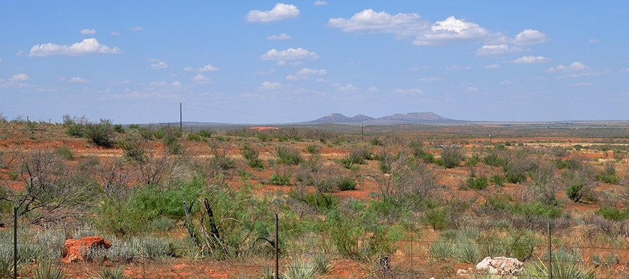 Texas Landscape